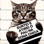 Profile Picture of Surto Muito (@surtomuito) on Instagram