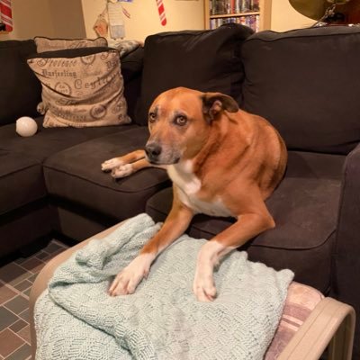 Lisa Van Ness - Twitter Profile Picture of Lisa Van Ness (@LisaVanNess6) on Twitter