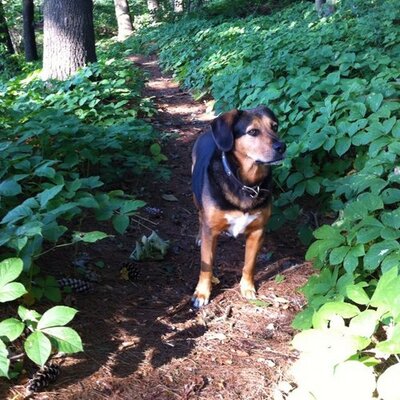 Profile Picture of Nathan Hemming (@NatesGr8r) on Twitter