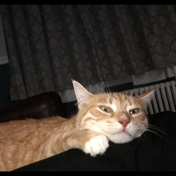 Profile Picture of Karen Shalvey (@shalvka) on Poshmark