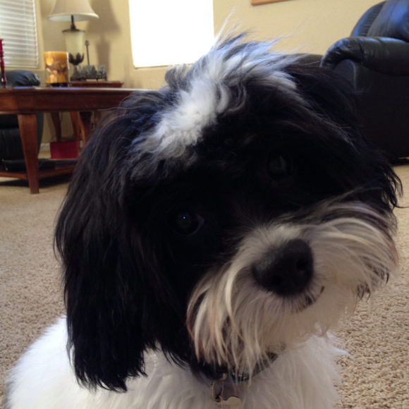 Profile Picture of Marisol Slomovitz (@cometa) on Poshmark