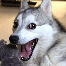 Jon McGraw - Twitter Profile Picture of Jon McGraw (@JonMcGraw5) on Twitter