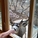 Profile Picture of Barbara Bielska (@bielska.barbara) on Instagram