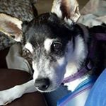 Profile Picture of Richard Fenton (@richard.fenton.12) on Instagram