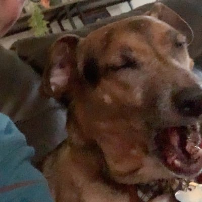 Profile Picture of Alex Chmielewski (@alex_chmie) on Twitter