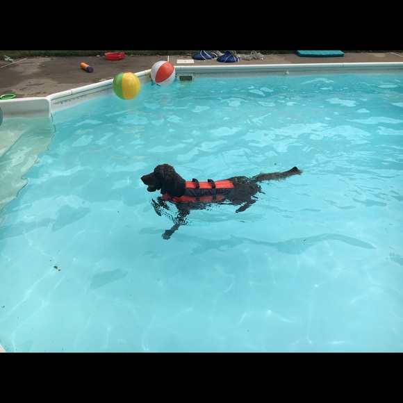 Profile Picture of Kelly Powers (@yehl32) on Poshmark