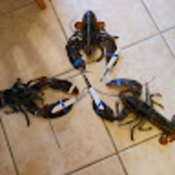 Profile Picture of Charles-antoine Falardeau (@charlofal182) on Poshmark