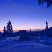 Profile Picture of Kevin James Dorado (@KevinJamesDora2) on Twitter