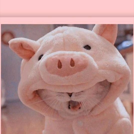 Profile Picture of Roberta Ivacson (@roberta.ivacson) on Tiktok