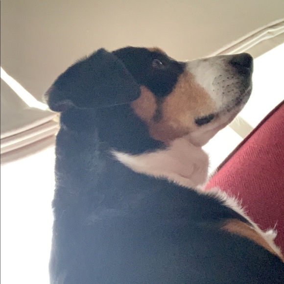 Profile Picture of Julia Manuali (@jmanuali) on Poshmark