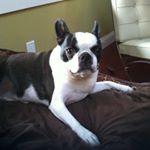 Profile Picture of Nora Delehanty Keith (@boston_maggie4) on Instagram