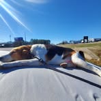 Profile Picture of Brian Crabtree (@amanda.sweetnothing) on Facebook