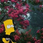 Profile Picture of Alexander_Morozov (@alexander_morozov7) on Instagram