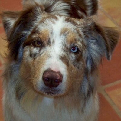 Profile Picture of Kim Monti (@NMspot) on Twitter