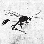 Profile Picture of Chris Renne (@chrisrenne) on Facebook