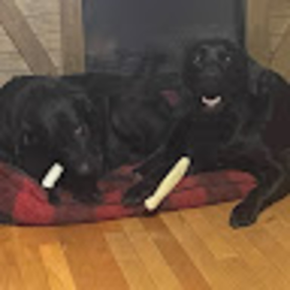 Murphy mechanical & machine, llc Tim murphy - Poshmark Profile Picture of Murphy mechanical & machine, llc Tim murphy (@murphymech2017) on Poshmark