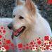 Profile Picture of Maureen McNally (@maureen.mcnally.148) on Facebook