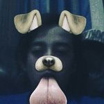 Profile Picture of Shannon Hyland (@shannon.hyland) on Instagram