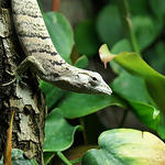 Profile Picture of Brian S Walker (@Brian S Walker) on Flickr