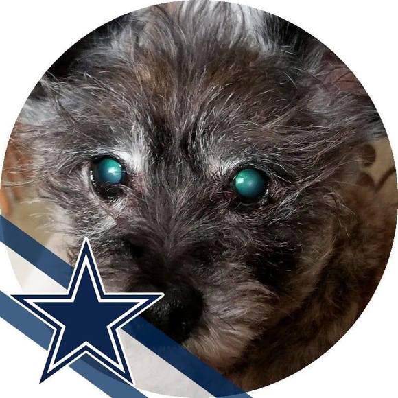 Profile Picture of Colleen Riegel (@colleenriegel) on Poshmark