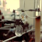 Profile Picture of Lisa Rosenberg (@lisarosenberg6) on Instagram