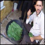 Profile Picture of Georgianna (@georgiannathomas) on Instagram