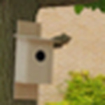 Profile Picture of Nicholas Brown (@nicholasgbrown) on Flickr