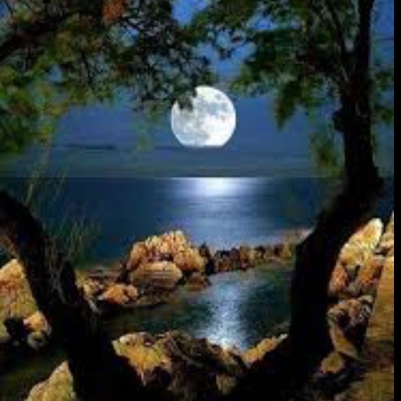 Profile Picture of Yeni Rodriguez (@kaby8dress) on Poshmark