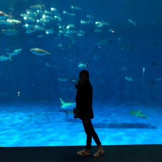 Profile Picture of Zoë Wong (@wongzoe) on Instagram