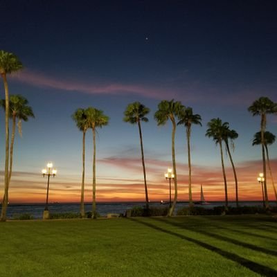 Profile Picture of Sharon Walters (@shough72) on Twitter