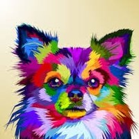 Profile Picture of Mia Walters (@mia-walters-21) on Quora