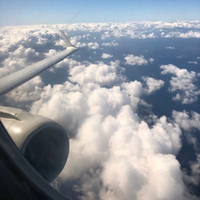 Profile Picture of Alessandro Maniscalco (@AlessandroMani7) on Twitter