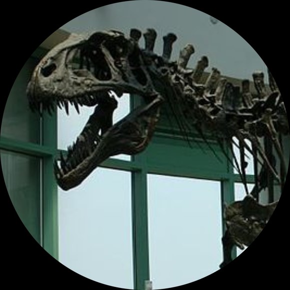 Profile Picture of Alden Bradstock (@akrocanth) on Poshmark