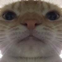 Profile Picture of Rutger Dejaeghere (@rutger-dejaeghere-1) on Quora