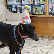 Profile Picture of Coco Johnson (@CocoJohnson-r6p) on Youtube