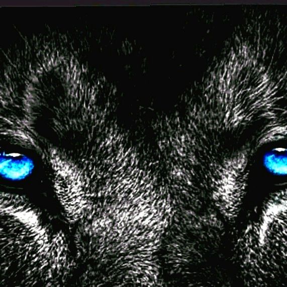 Profile Picture of David kirkland (@davidkirkland923) on Tiktok