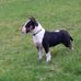 Profile Picture of Paul Toomey (@paul.toomey.3388) on Facebook