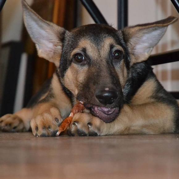 Profile Picture of Ian Browning (@isbrowning) on Poshmark