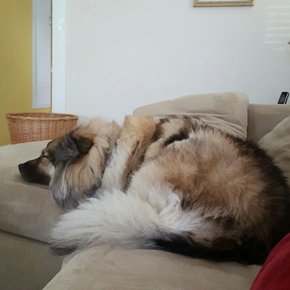 Profile Picture of Kate Finnerty (@finnekat) on Poshmark