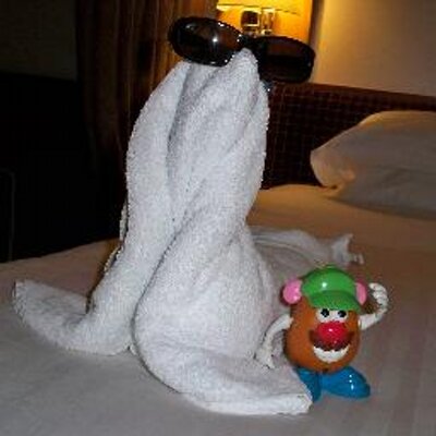 Profile Picture of Laurie Carl (@LaurieCarl3) on Twitter