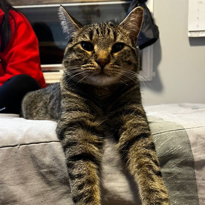 Profile Picture of Justin (@justin.pikee) on Tiktok