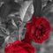 Profile Picture of Sethu Re (@sethu.re.10) on Facebook