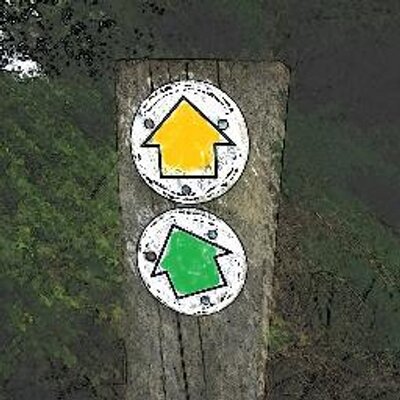 Profile Picture of Richard Poynder (@RickyPo) on Twitter