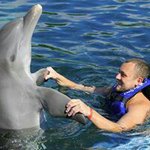 Profile Picture of Ian Flatt (@ianflatt) on Instagram