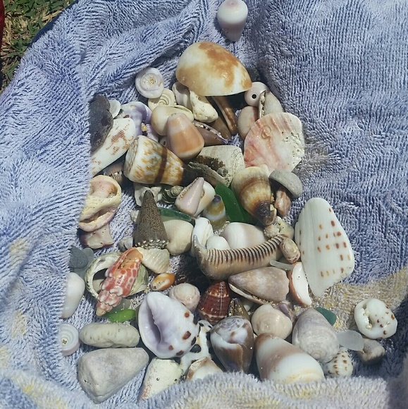 Profile Picture of Joseph Trevizo (@jtrevizo817) on Poshmark