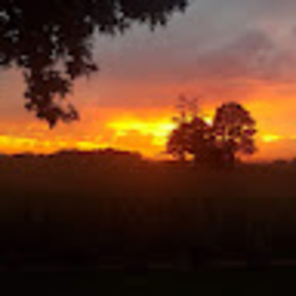 Profile Picture of Joanne Noordam (@joannenoordam) on Poshmark