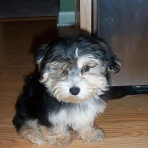 Profile Picture of Hillary Terrell (@132485969) on Myspace