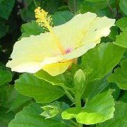 Profile Picture of Annemarie Alberts (@af2h) on Pinterest