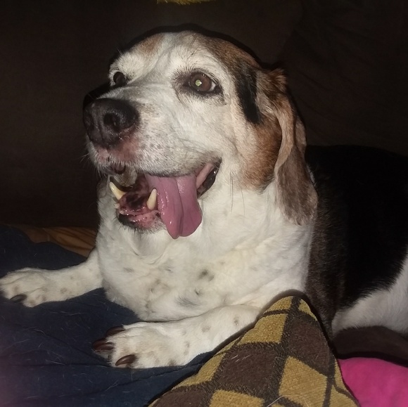 Profile Picture of Mary Becotte (@becotte_m) on Poshmark