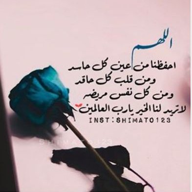 Profile Picture of Reem Saeed (@reemsaeed2020) on Twitter